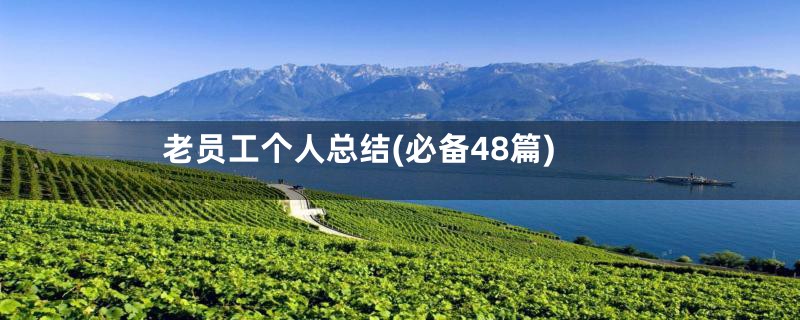 老员工个人总结(必备48篇)