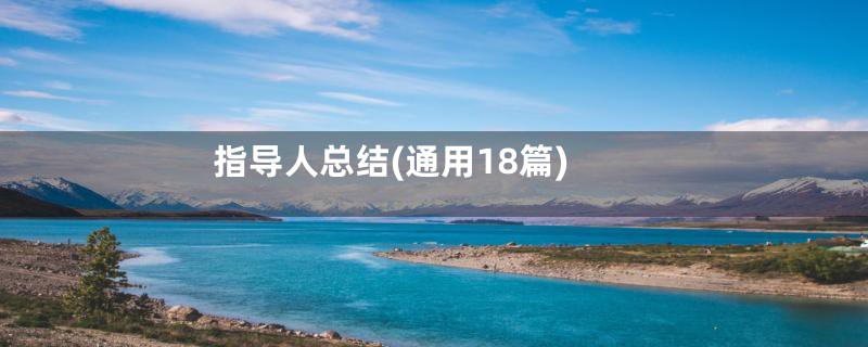 指导人总结(通用18篇)