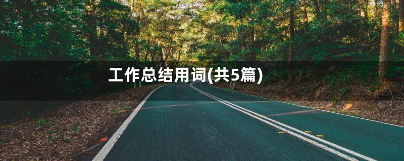 工作总结用词(共5篇)