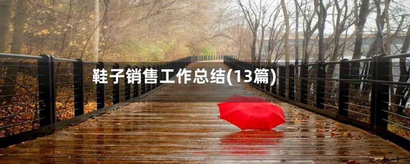 鞋子销售工作总结(13篇)