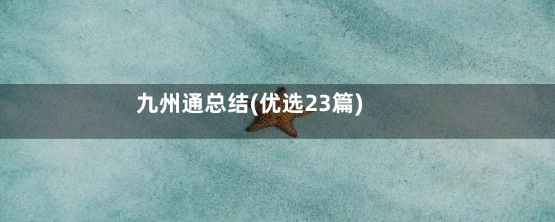 九州通总结(优选23篇)