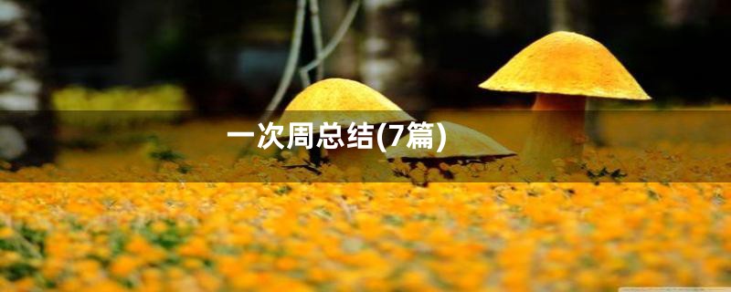 一次周总结(7篇)