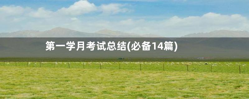 第一学月考试总结(必备14篇)