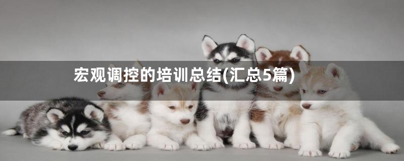 宏观调控的培训总结(汇总5篇)