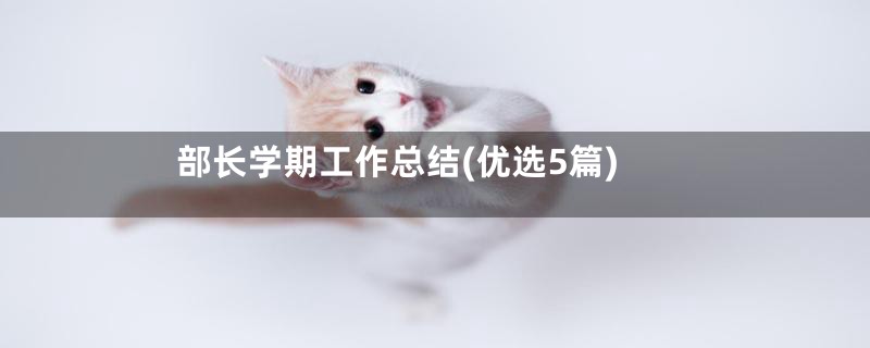 部长学期工作总结(优选5篇)