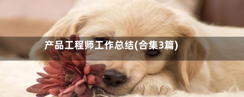产品工程师工作总结(合集3篇)