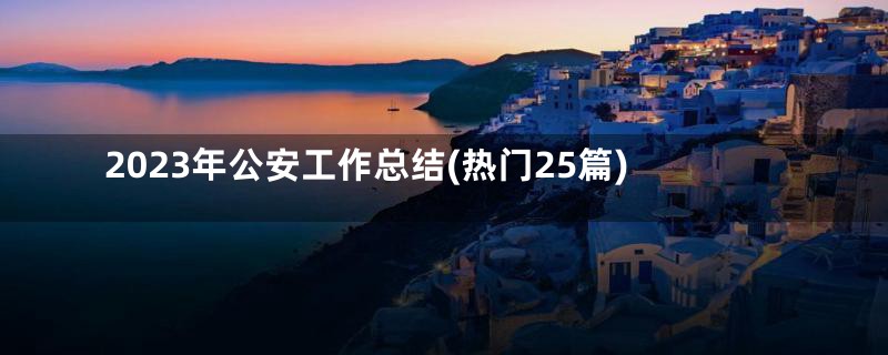2023年公安工作总结(热门25篇)