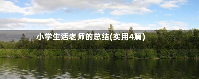小学生活老师的总结(实用4篇)