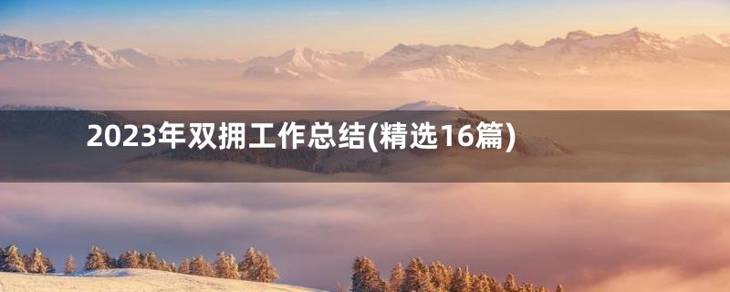 2023年双拥工作总结(精选16篇)