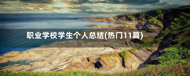 职业学校学生个人总结(热门11篇)