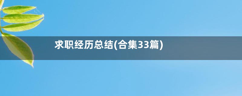 求职经历总结(合集33篇)