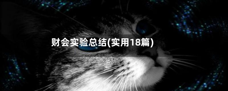 财会实验总结(实用18篇)