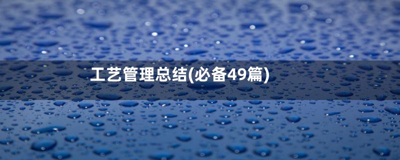 工艺管理总结(必备49篇)