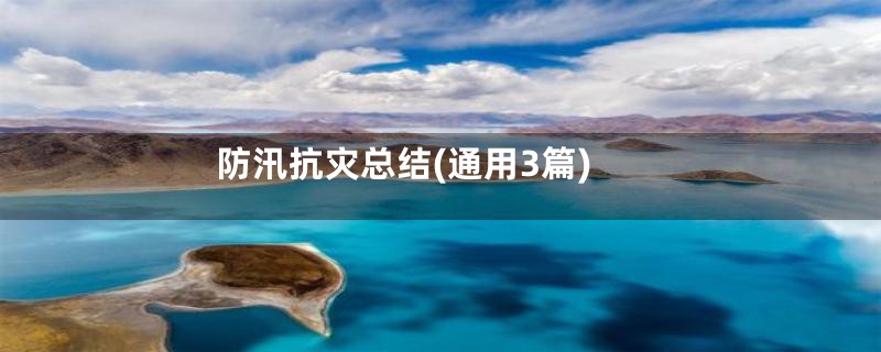 防汛抗灾总结(通用3篇)