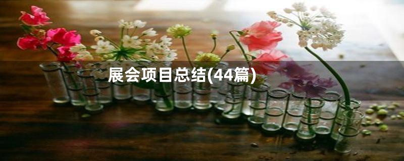 展会项目总结(44篇)