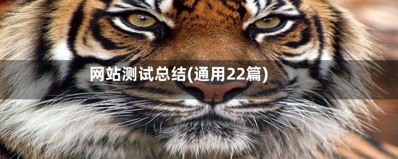 网站测试总结(通用22篇)