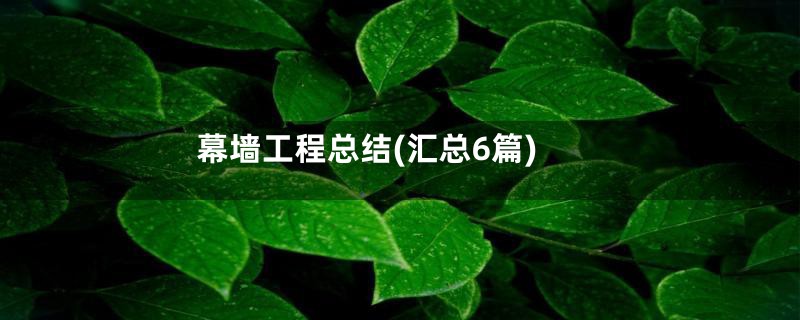 幕墙工程总结(汇总6篇)