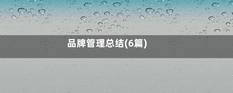 品牌管理总结(6篇)