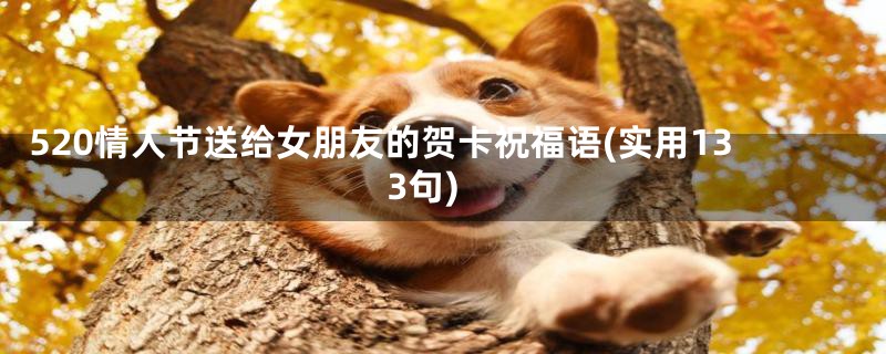 520情人节送给女朋友的贺卡祝福语(实用133句)