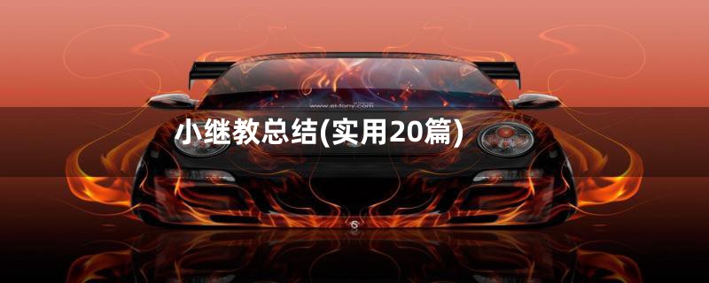小继教总结(实用20篇)