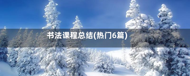 书法课程总结(热门6篇)