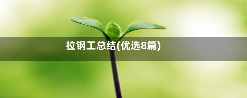 拉钢工总结(优选8篇)