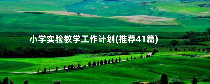 小学实验教学工作计划(推荐41篇)