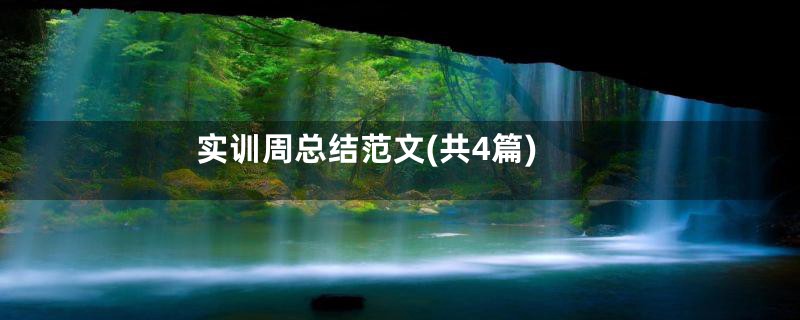 实训周总结范文(共4篇)