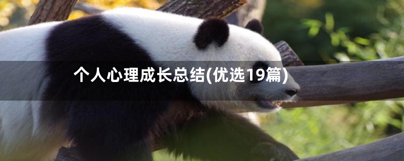 个人心理成长总结(优选19篇)