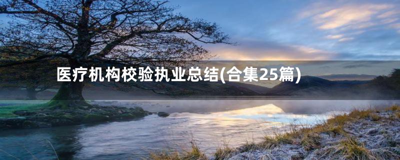 医疗机构校验执业总结(合集25篇)