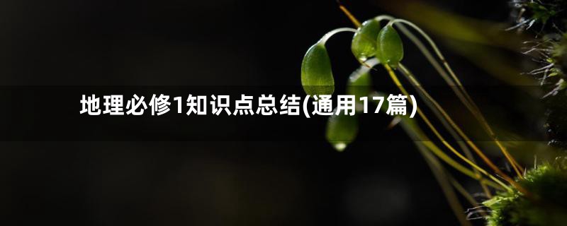 地理必修1知识点总结(通用17篇)