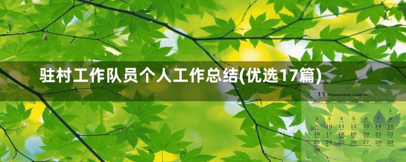 驻村工作队员个人工作总结(优选17篇)
