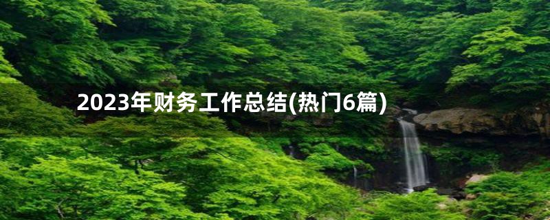 2023年财务工作总结(热门6篇)