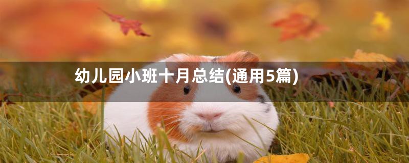 幼儿园小班十月总结(通用5篇)