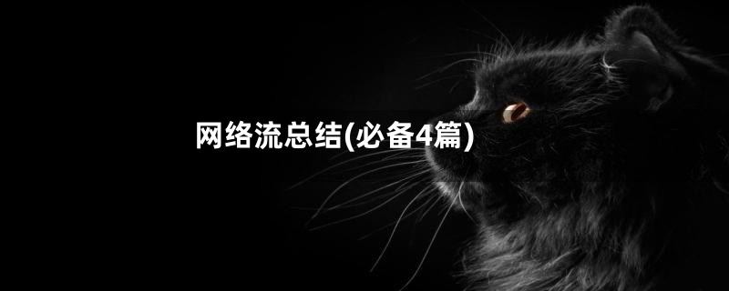 网络流总结(必备4篇)