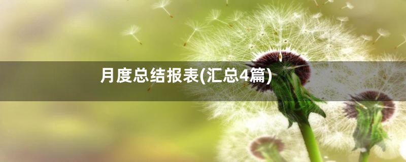 月度总结报表(汇总4篇)