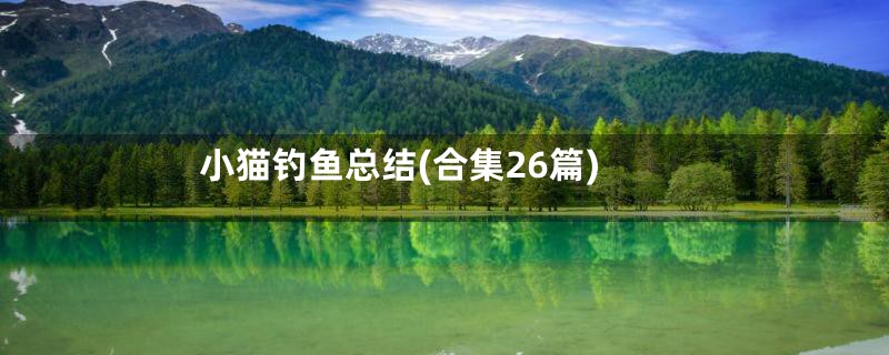 小猫钓鱼总结(合集26篇)