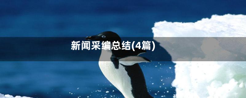 新闻采编总结(4篇)