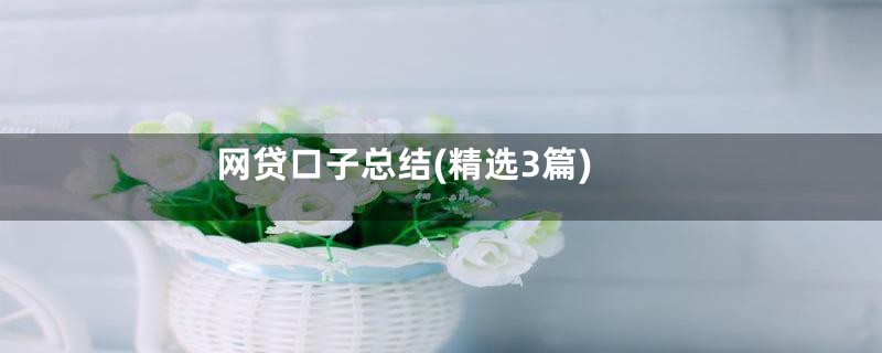 网贷口子总结(精选3篇)