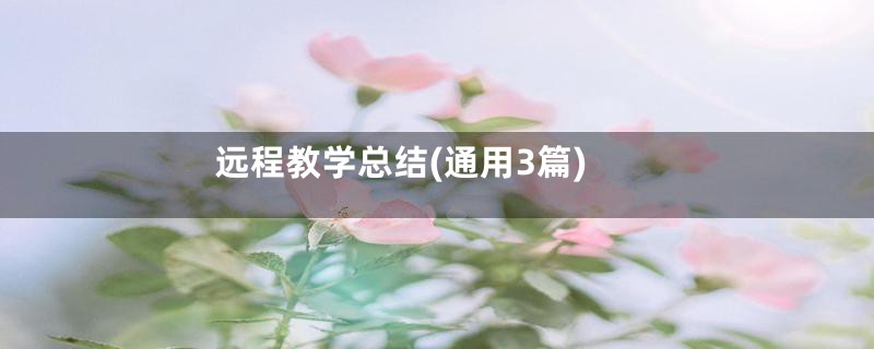 远程教学总结(通用3篇)