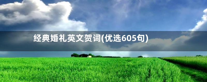 经典婚礼英文贺词(优选605句)