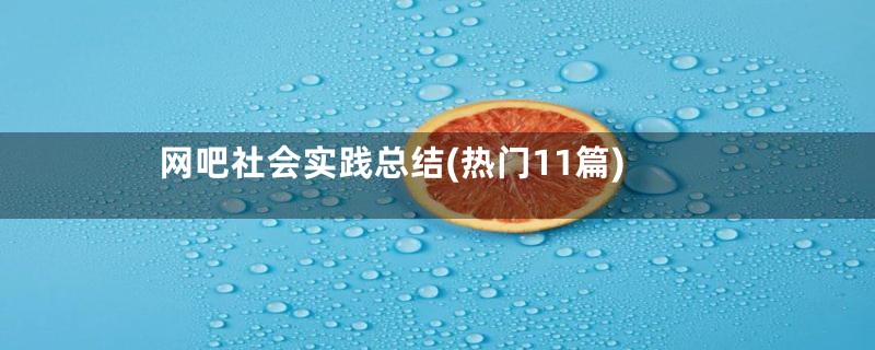 网吧社会实践总结(热门11篇)