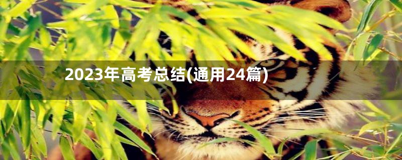 2023年高考总结(通用24篇)