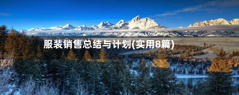 服装销售总结与计划(实用8篇)