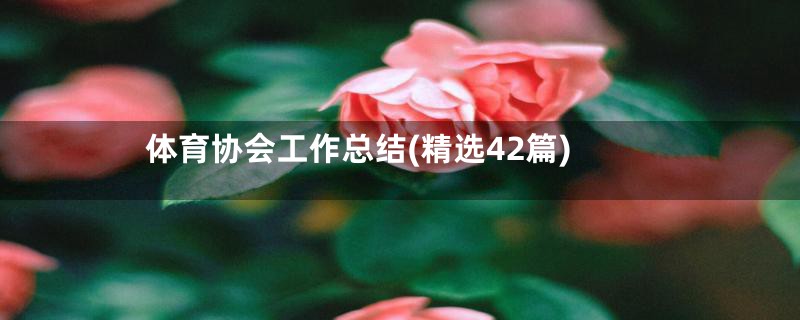 体育协会工作总结(精选42篇)