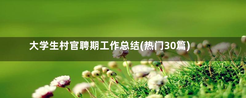 大学生村官聘期工作总结(热门30篇)