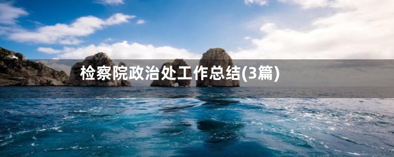 检察院政治处工作总结(3篇)