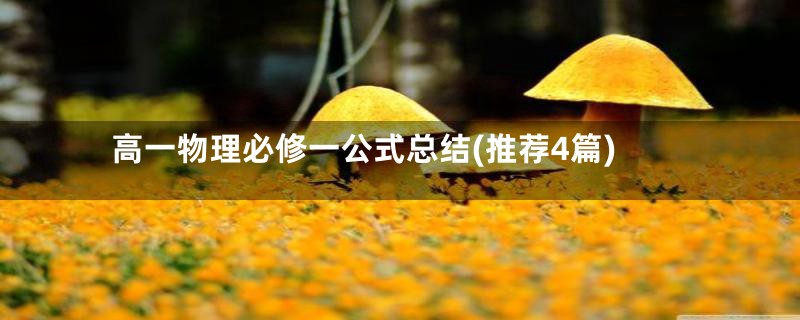 高一物理必修一公式总结(推荐4篇)