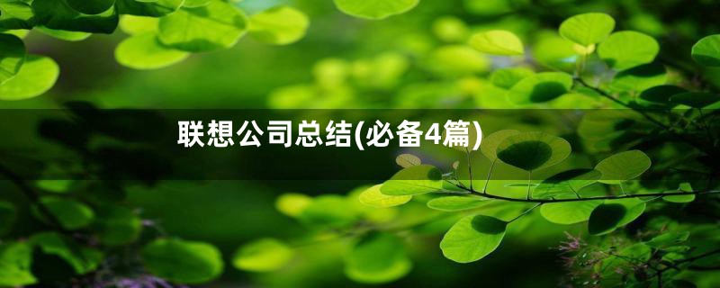 联想公司总结(必备4篇)