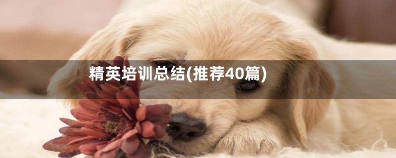 精英培训总结(推荐40篇)